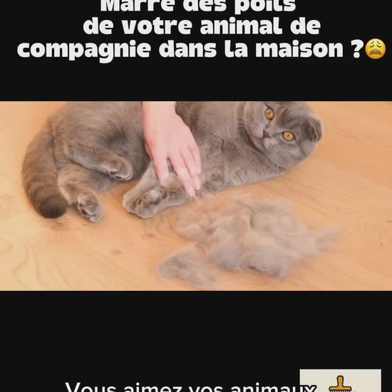 Démonstration de la brosse auto-nettoyante PawEase™ – élimine les poils morts et masse votre animal en douceur.