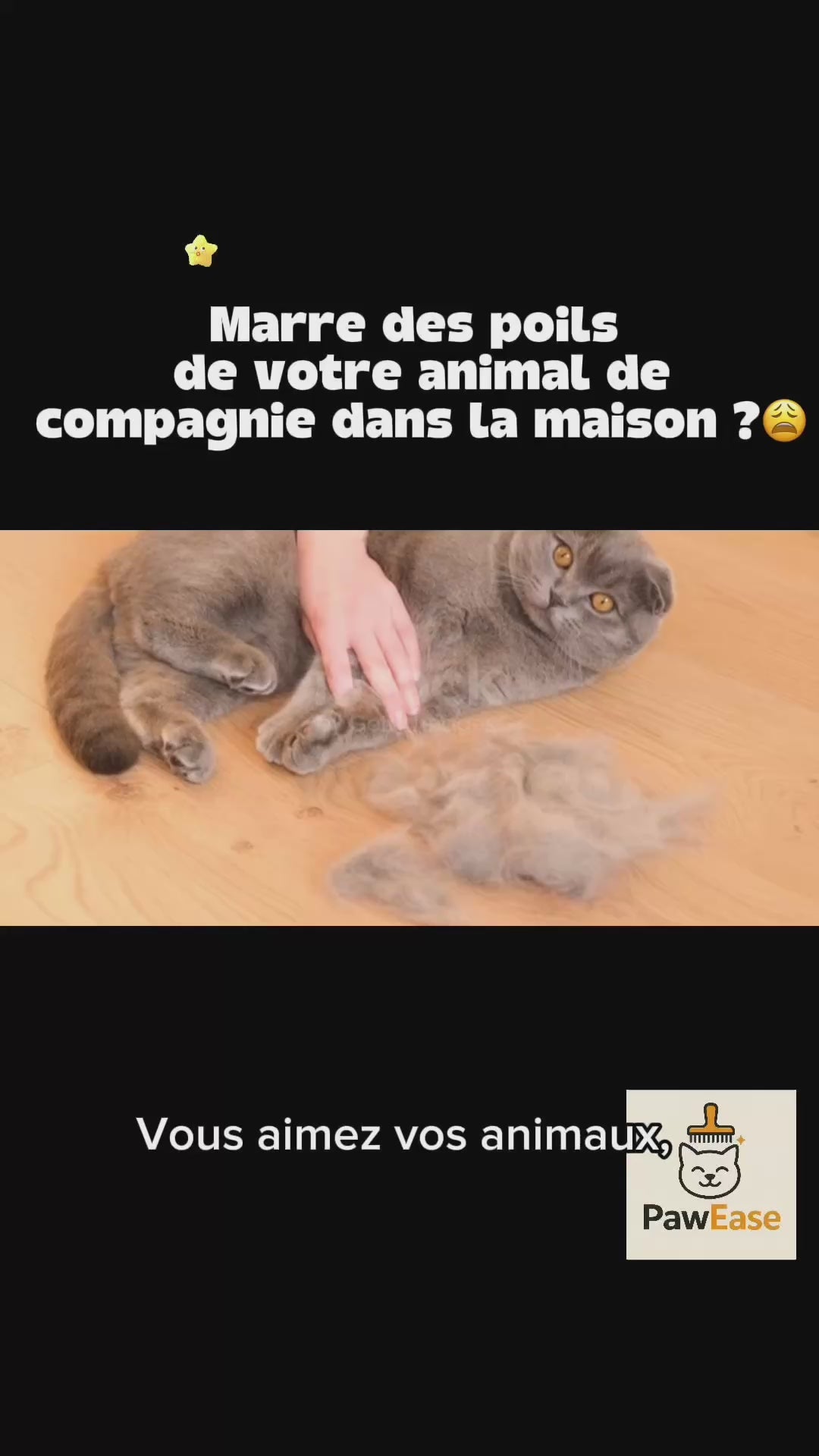 Démonstration de la brosse auto-nettoyante PawEase™ – élimine les poils morts et masse votre animal en douceur.